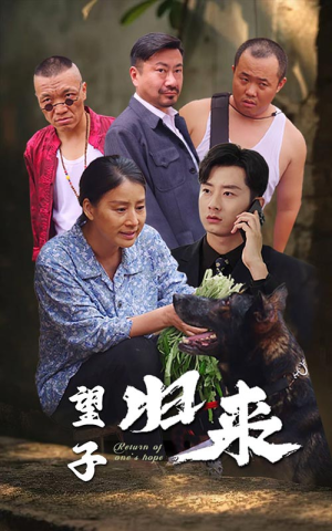望子归来（50集）太惊艳了