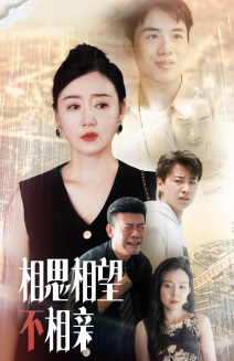 相思相望不相亲(70集) 相思相望不相亲(70集)节奏超快