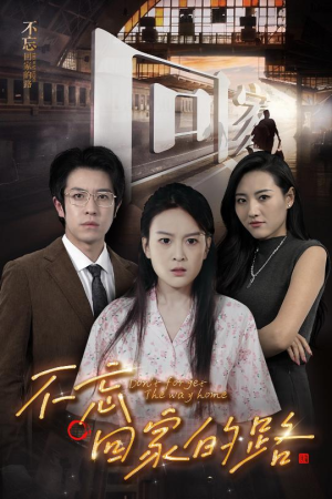 不忘回家的路（61集）甜宠剧大全