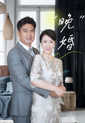 晚婚（65集）题材新颖打破短剧套路