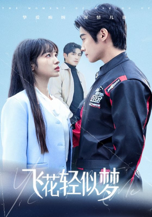 飞花轻似梦（37集）演员名短剧大全