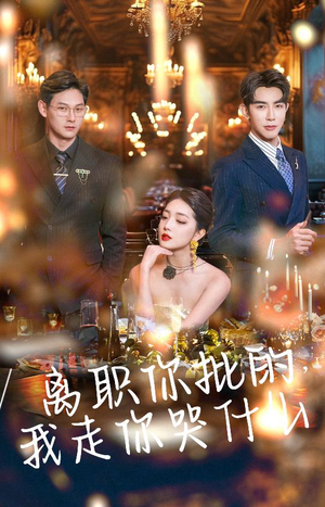 离职你批的,我走你哭什么(30集) 离职你批的,我走你哭什么(30集)干脆利落