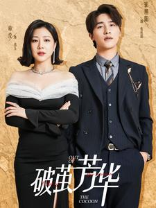 破茧芳华(80集) 破茧芳华(80集)替身梗