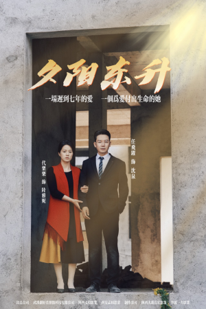 夕阳东升(30集) 夕阳东升(30集)换脸复仇