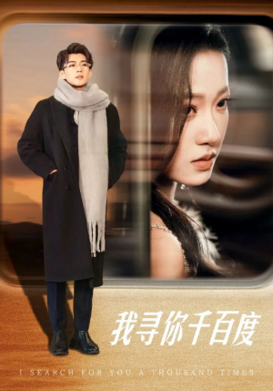 我寻你千百度（39集）无断更