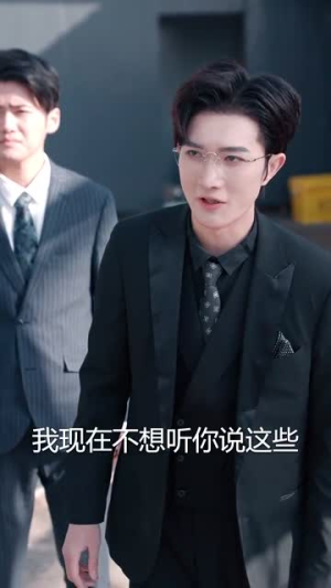 一见倾心（84集）1-300集全