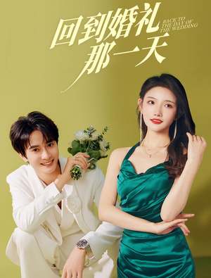 回到婚礼那一天（88集）无广告在线看