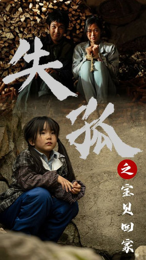 失孤之宝贝回家(71集) 失孤之宝贝回家(71集)相亲短剧
