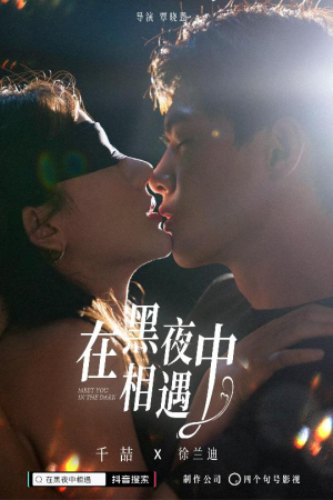 在黑夜中相遇(32集) 在黑夜中相遇(32集)爽点爆棚