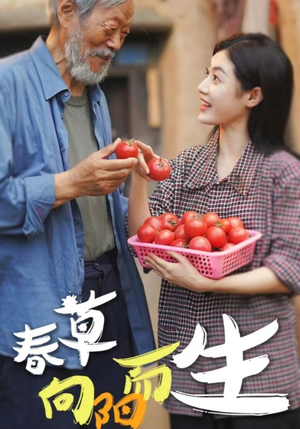 春草向阳而生(53集) 春草向阳而生(53集)婆媳短剧