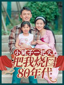 小舅子一把火把我烧回80年代（100集）全网最火