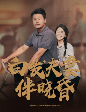 白发夫妻傍晓昏(61集) 白发夫妻傍晓昏(61集)太复古