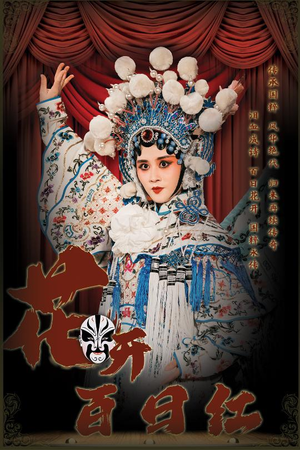 花开百日红（30集）短剧平台