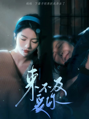 来不及爱你（80集）推荐