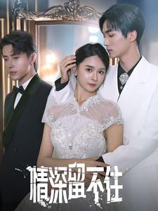 情深留不住(80集) 情深留不住(80集)多线路播放防卡顿备用