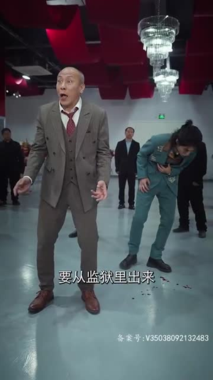 镇国主宰（90集）全集免费