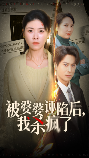被婆婆诬陷后我杀疯了（30集）全程无尿点