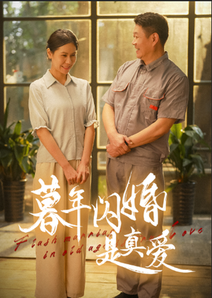 暮年闪婚是真爱（36集）热播短剧