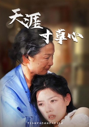 天涯寸草心（76集）高冷男主