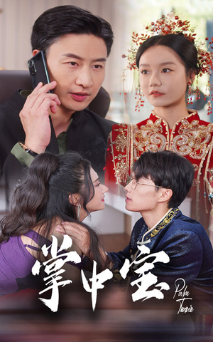 掌中宝(31集) 掌中宝(31集)单集神作