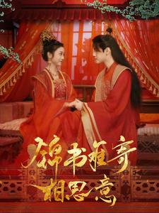 锦书难寄相思意（97集）限定剧集