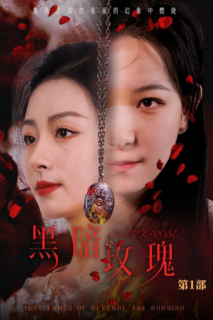 黑暗玫瑰（84集）影视解说