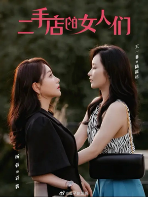 二手店的女人们&二十九(66集) 二手店的女人们&二十九(66集)闪婚短剧