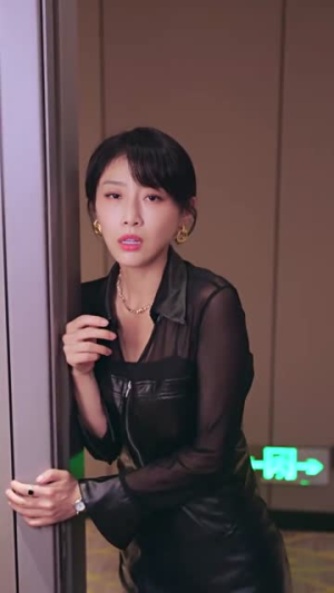 太子妃惊爆娱乐圈（60集）催婚短剧