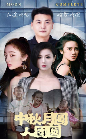 中秋月圆人团圆（63集）1-100集