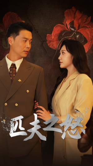 匹夫之怒(48集) 匹夫之怒(48集)大电影