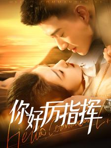 你好厉指挥(100集) 你好厉指挥(100集)战神短剧