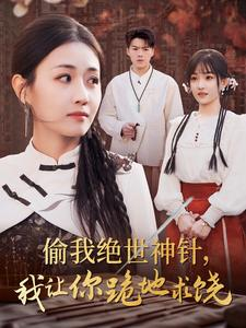 偷我绝世神针，我让你跪地求饶（30集）看完这部剧还可以看什么