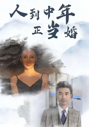 人到中年正当婚（81集）微信小程序短剧