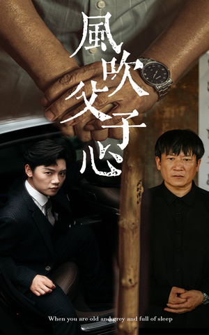 风吹父子心（65集）理想中的爱情