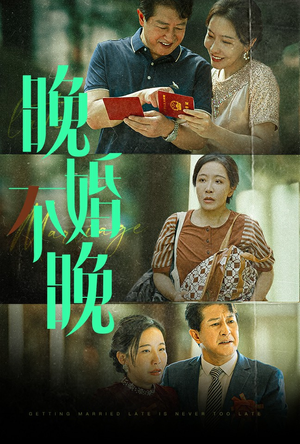 晚婚不晚（30集）太金手指