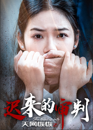 天网恢恢之迟来的审判(31集) 天网恢恢之迟来的审判(31集)完结了吗