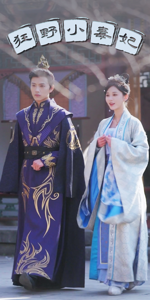 狂野小毒妃（87集）女频短剧
