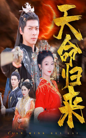 天命归来（60集）观众评价