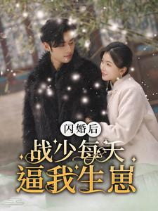 闪婚后战少每天逼我生崽(91集) 闪婚后战少每天逼我生崽(91集)百度网盘一键直达