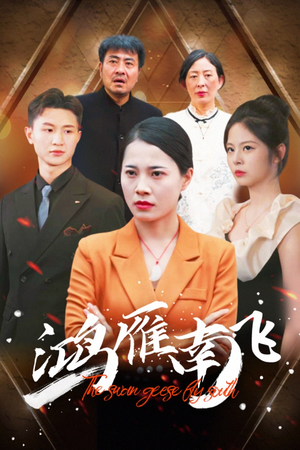 鸿雁南飞(64集) 鸿雁南飞(64集)最佳新人