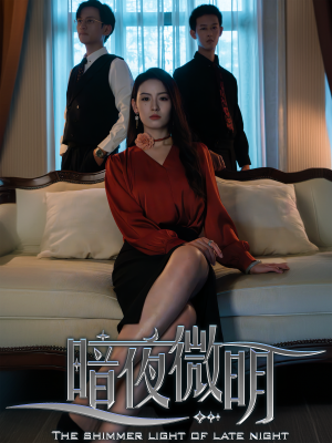 暗夜微明（70集）掉马甲