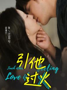 引他过火（40集）全程爽点