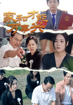 家和才能万事兴（30集）替嫁短剧