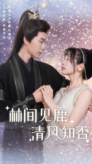 林间见鹿清风知否(62集) 林间见鹿清风知否(62集)太遗憾了