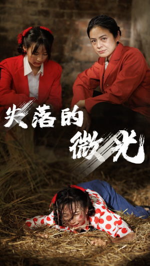 失落的微光（60集）全集无删减