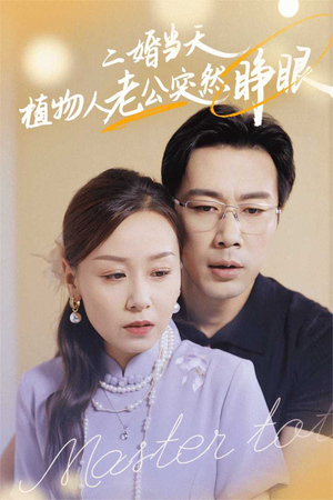 二婚当天植物人老公突然睁眼（40集）倍速短剧