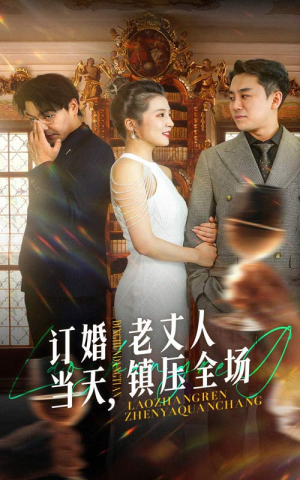 订婚当天，老丈人镇压全场（29集）电脑网页端直接播放