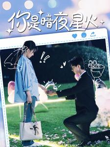 你是暗夜星火（120集）红果免费看全集