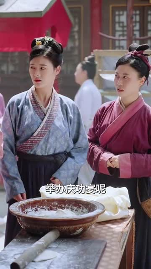 和离后女将军她杀红了眼（50集）隐世高人