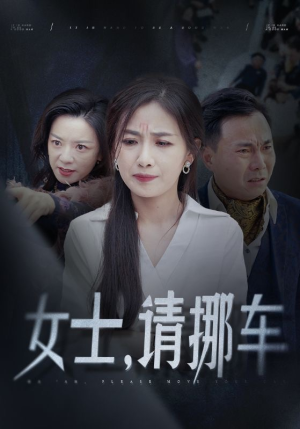 女士请挪车&善门难开(29集) 女士请挪车&善门难开(29集)三分钟看完